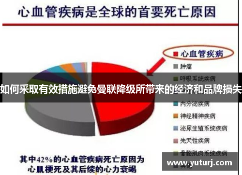 如何采取有效措施避免曼联降级所带来的经济和品牌损失