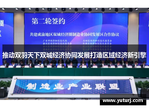 推动双羽天下双城经济协同发展打造区域经济新引擎